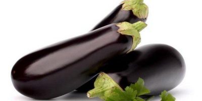 berinjelas