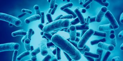 O que são probióticos - Probióticos se manifestando - Instituto Digestivo